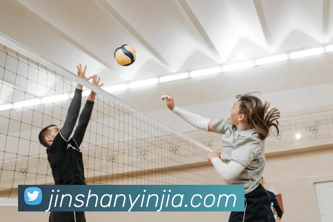 澳门金沙娱乐平台生态图